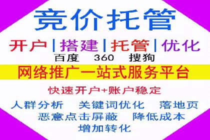 某某SEM团队成功案例：广告投放策略揭秘